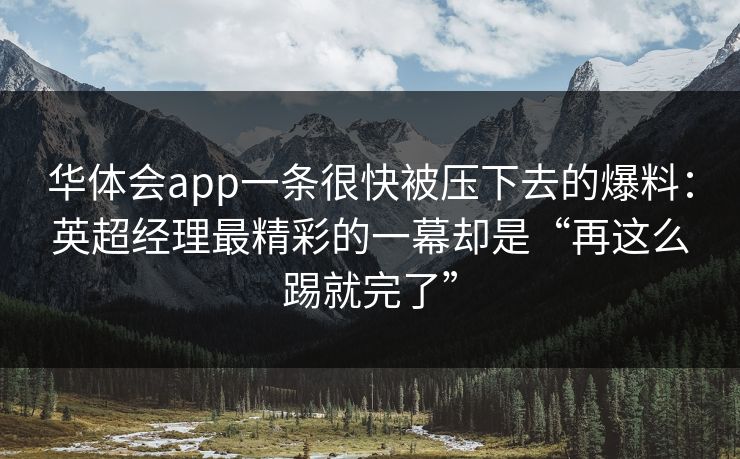 华体会app一条很快被压下去的爆料：英超经理最精彩的一幕却是“再这么踢就完了”