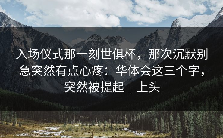入场仪式那一刻世俱杯，那次沉默别急突然有点心疼：华体会这三个字，突然被提起｜上头