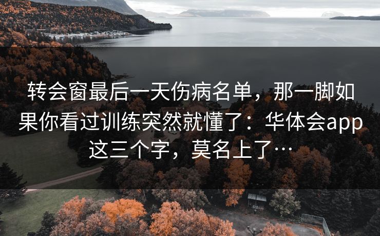 转会窗最后一天伤病名单,那一脚如果你看过训练突然就懂了:华体会app这三个字,莫名上了…